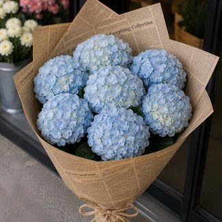 Buchet hortensii albastre